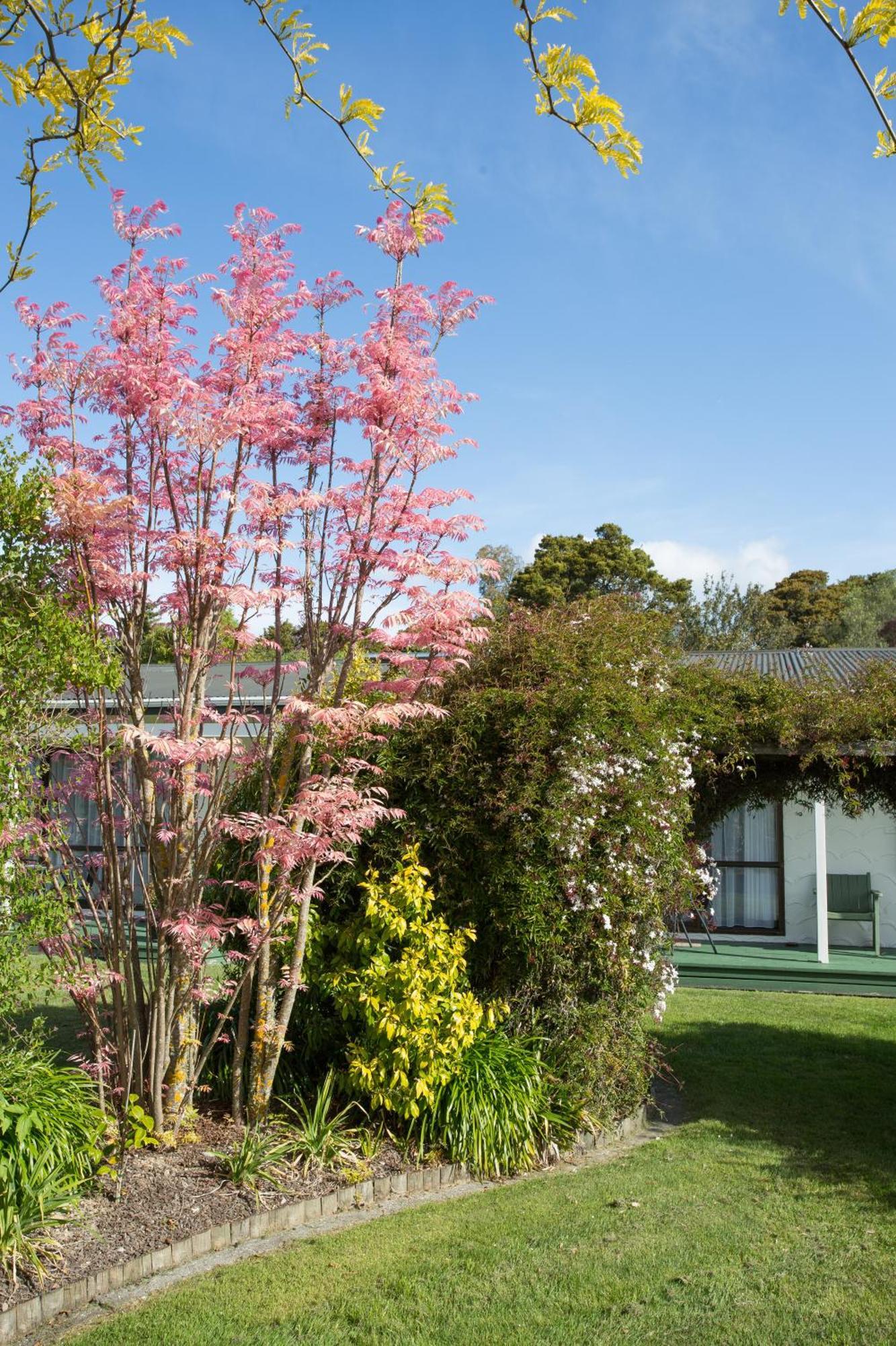 The Park Motel Motueka Εξωτερικό φωτογραφία
